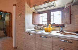 Fridge, stovetop, cookware/dishes/utensils