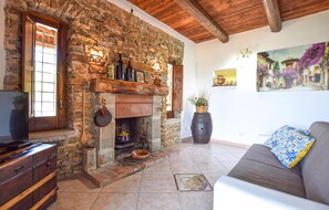 Televisión, chimenea y tenis de mesa 