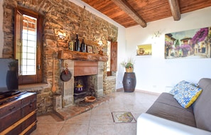 TV, fireplace, table tennis