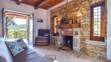 Televisio, takka, pöytätennispöytä