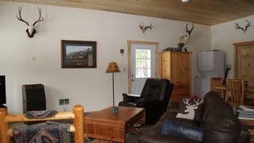 TV, fireplace, DVD player, books