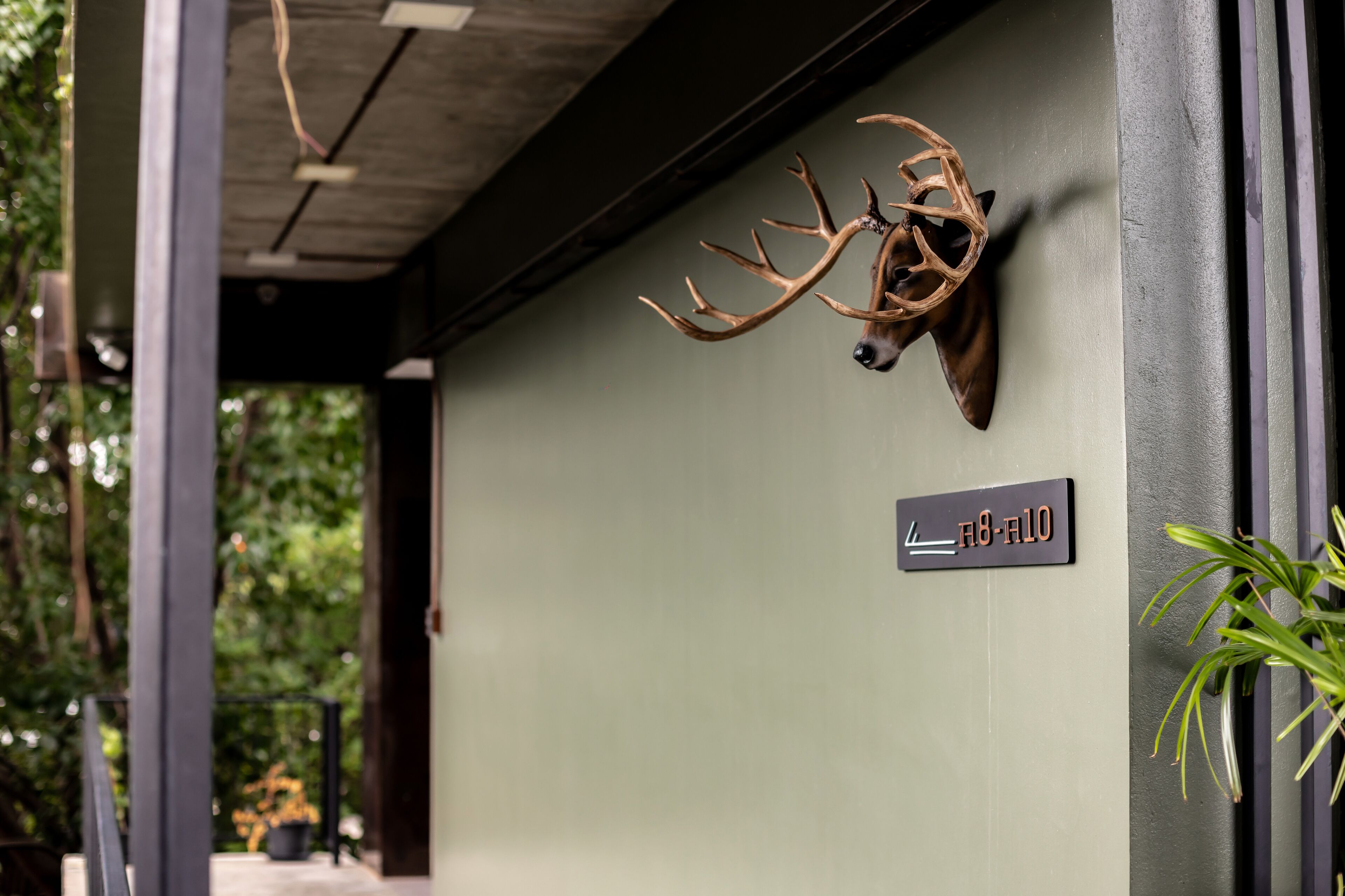 A deer head mounted on a wall with a sign reading "A8-A10".