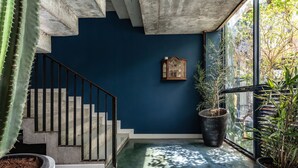 A staircase with a concrete finish, a dark blue wall, and large potted plants near a window. - The Wood (Surin)