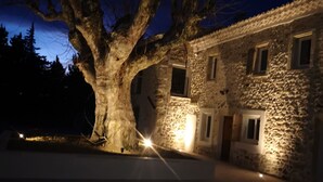 Edificio de piedra con un gran árbol en primer plano, iluminado con luz artificial.