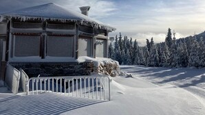Lumipeitteinen rakennus, jonka pohja on tehty kivestä ja jonka edessä on metalliaita.