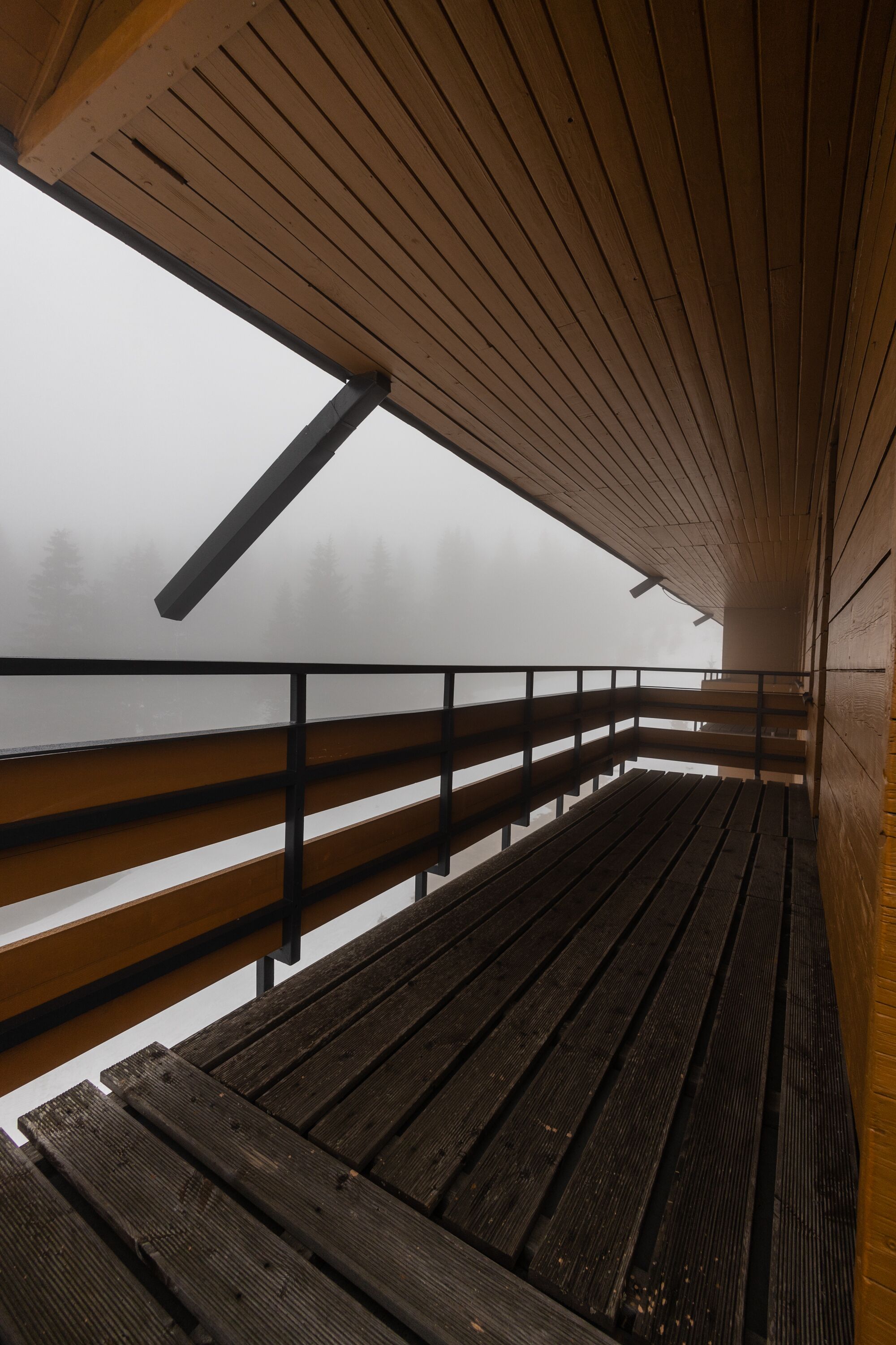 高級套房, 1 間臥室 | 露台/庭院