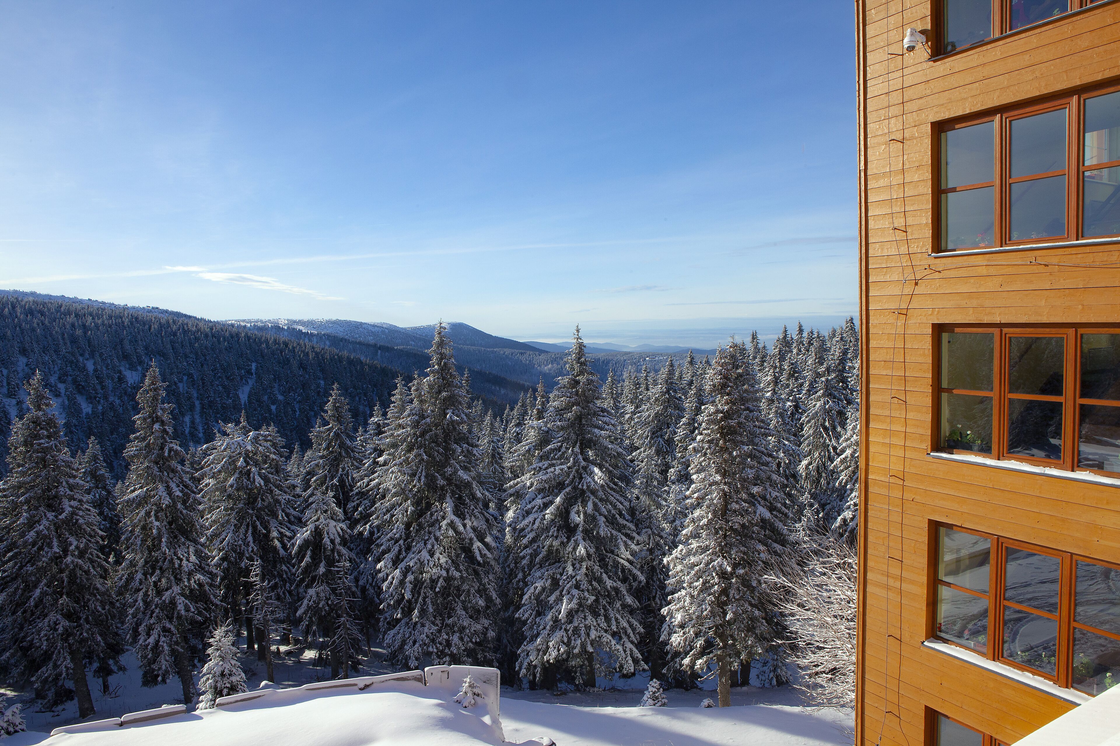 Un edificio de madera con varias ventanas que dan a un bosque nevado y montañas distantes.