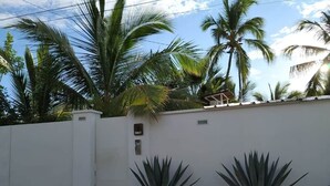 A white wall with a gate, two agave plants, and palm trees in the background. - Bougainvillier, pool, direct access to the beach (Grand Fond)