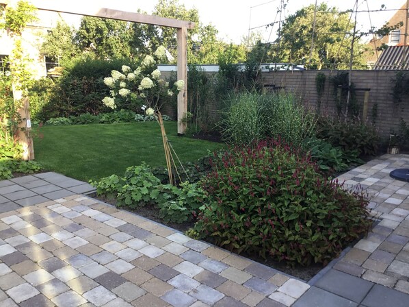 A garden with a wooden pergola, a lawn, and various plants.