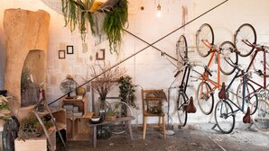 A rustic interior with bicycles, wooden furniture, and various plants.
