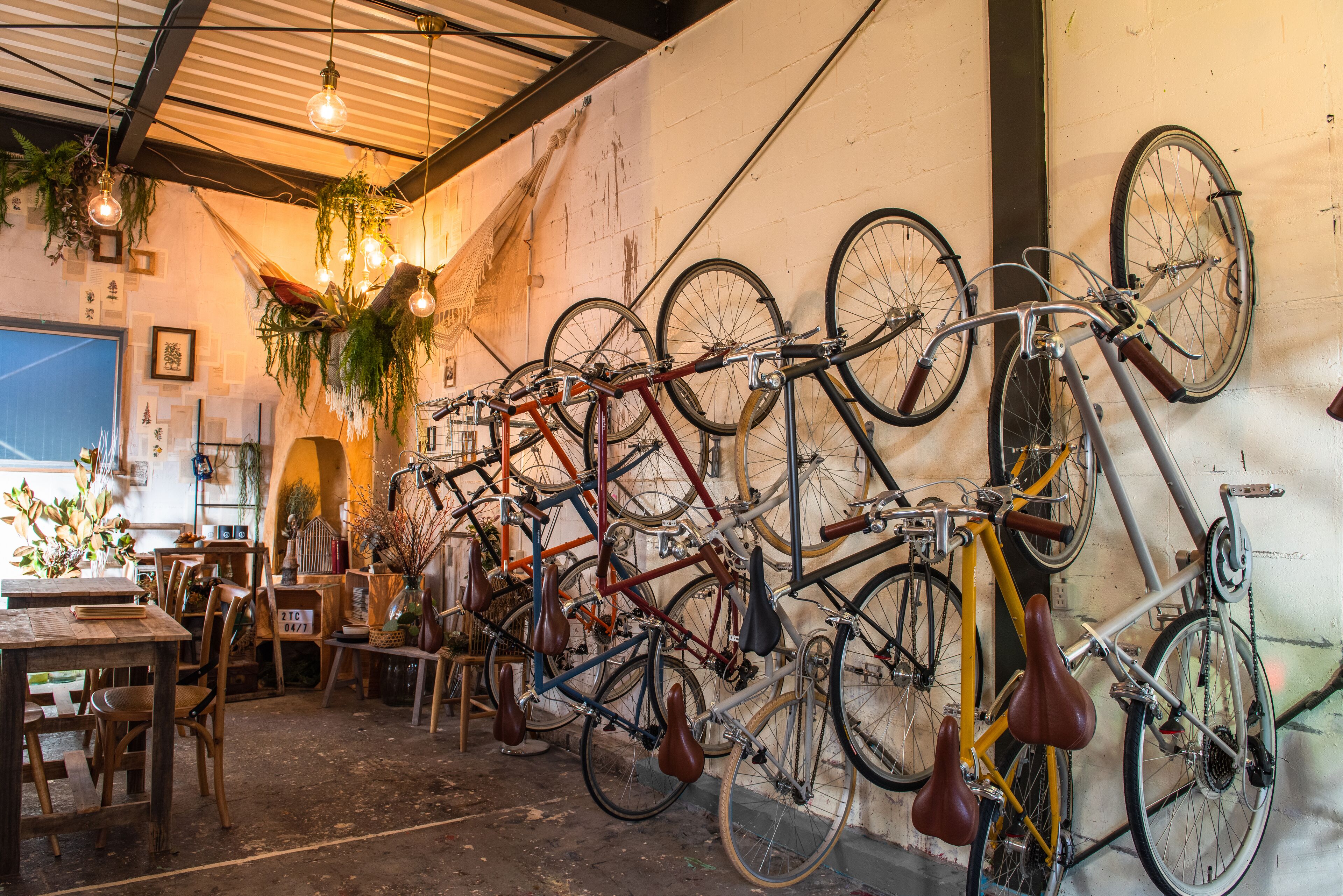 A room with bicycles mounted on a wall, wooden furniture, and hanging plants.