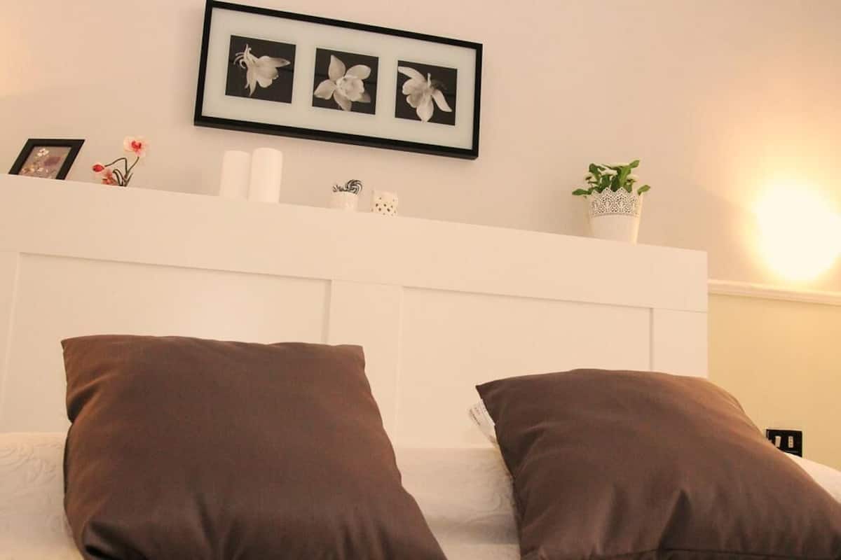 A hotel room with a white headboard, two brown pillows, a framed picture of flowers, and a small potted plant.