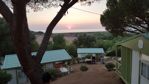 A rustic cabin with a green roof, surrounded by trees and a view of the sunset over a distant landscape. - Camping U Sommalu (Casaglione)