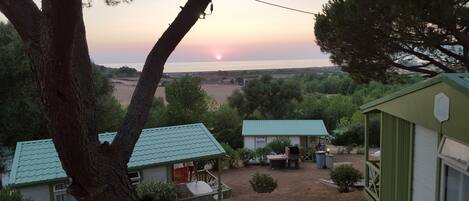 Un chalet rustique avec un toit végétalisé, entouré d’arbres et offrant une vue sur le coucher de soleil qui se reflète sur un paysage lointain.
