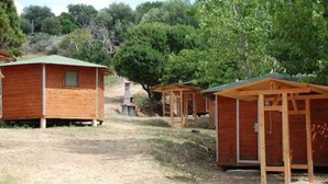 A row of wooden cabins with green roofs, set in a natural environment with trees in the background. - Camping U Sommalu (Casaglione)