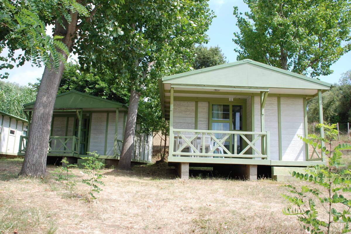 A small, single-story cabin with a porch and a door, surrounded by trees and dry grass.