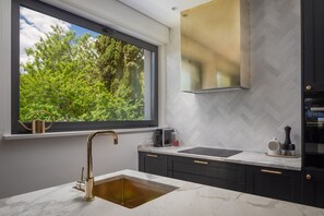 Deluxe Διαμέρισμα | Ιδιωτική κουζίνα | Ψυγείο κανονικού μεγέθους, φούρνος μικροκυμάτων, φούρνος