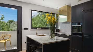Deluxe Apartment | Private kitchen | Full-size fridge, microwave, oven, stovetop