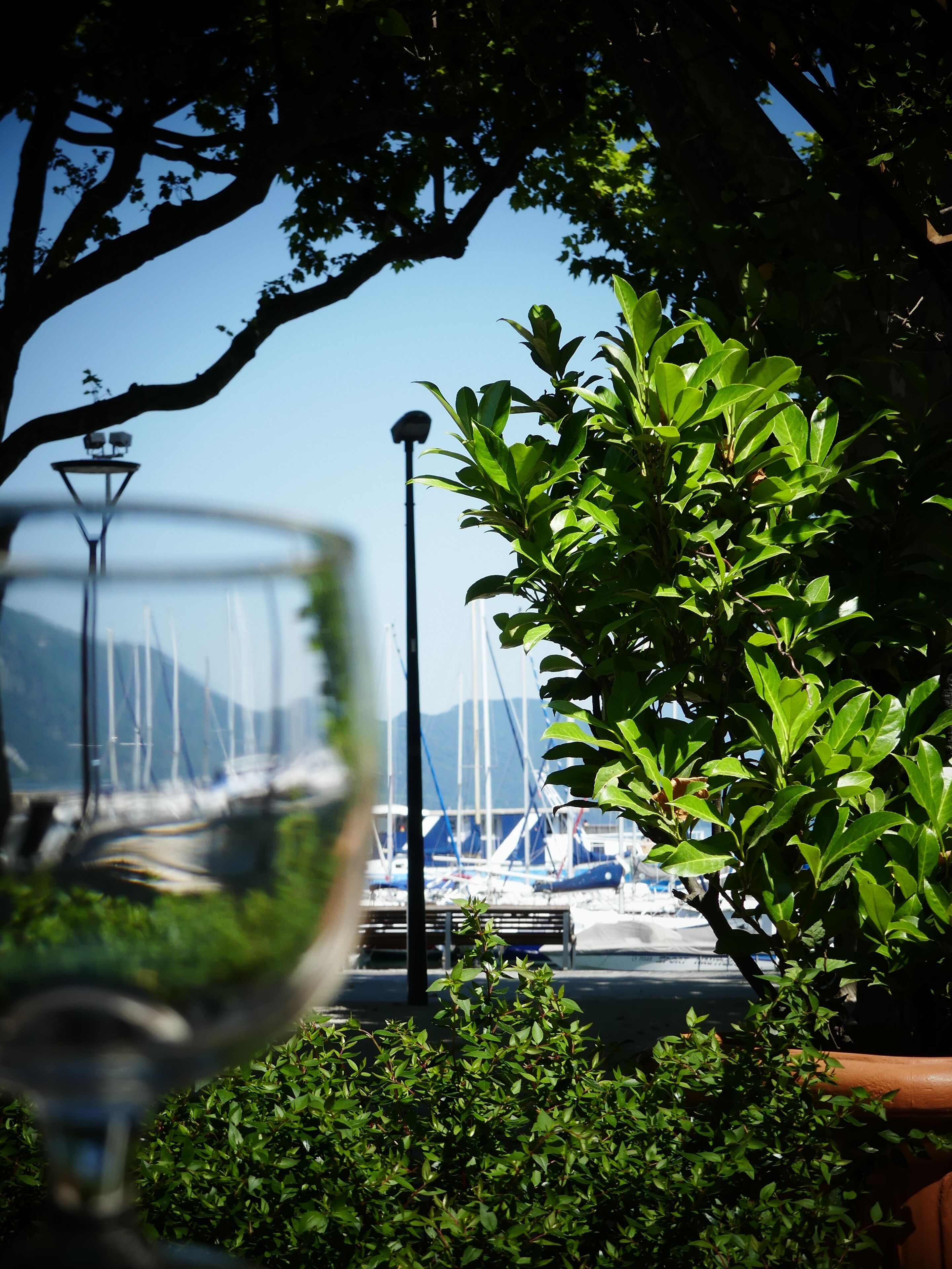 2 restaurants, lunch, dinner served; seafood