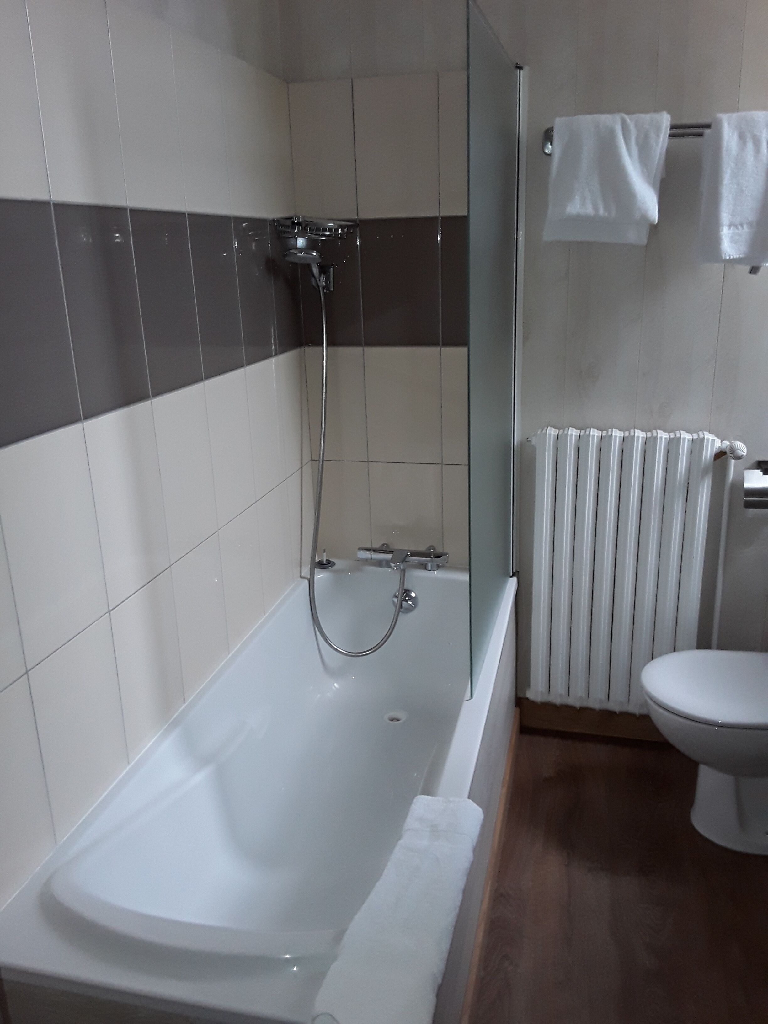 triple room | bathroom | shower, hair dryer, towels