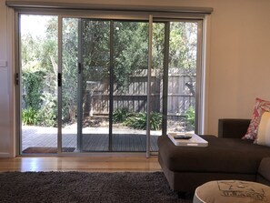 TV, fireplace, DVD player, books