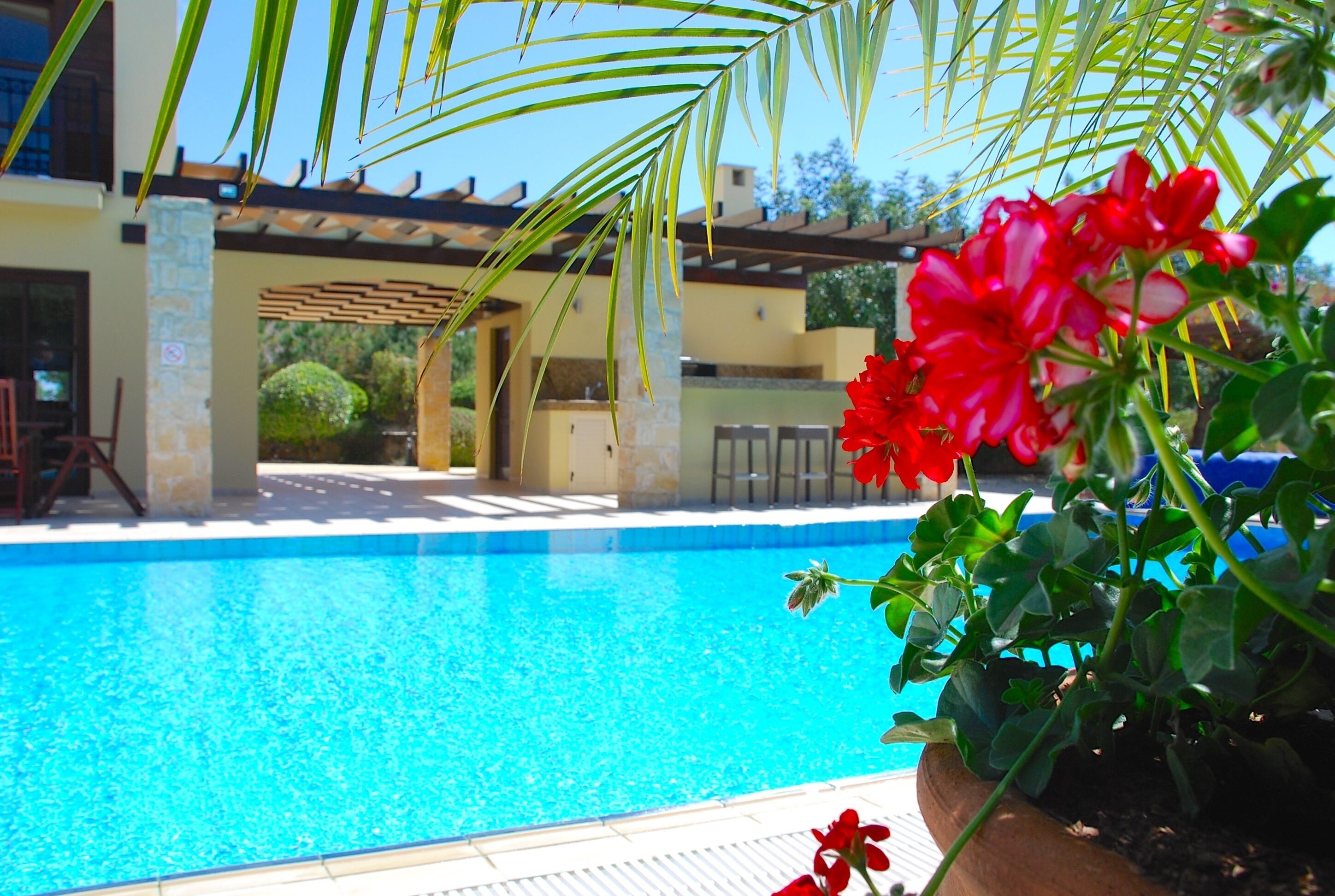 Outdoor pool, pool umbrellas, pool loungers