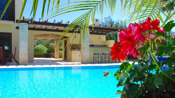 A swimming pool with a clear blue water surface, surrounded by a covered patio area with palm trees and a potted plant with red flowers. - Villa 81 - Paparouna (Kouklia)