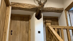 A wooden staircase with a deer head mounted on the wall above it.