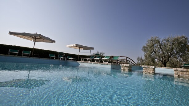 Ein klarer Swimmingpool mit Liegestühlen und Sonnenschirmen, umgeben von einer Hecke und Bäumen.