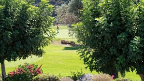 Un campo de golf con un césped bien cuidado, un putting green y un búnker de arena.