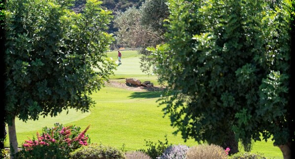 A golf course with a well-maintained green, a putting green, and a sand bunker.