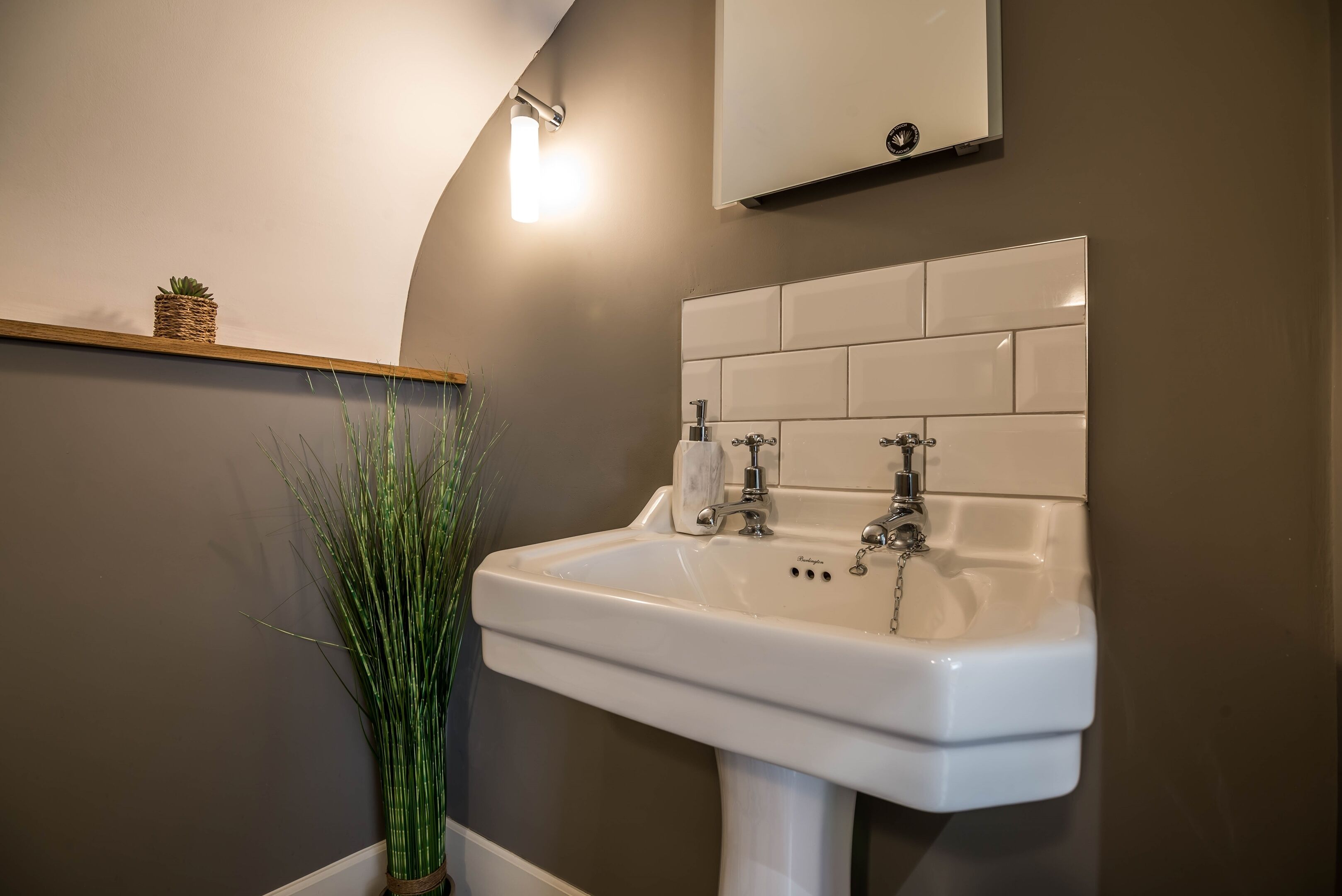 A bathroom with a white sink, a mirror above it, and a small plant on a shelf.
