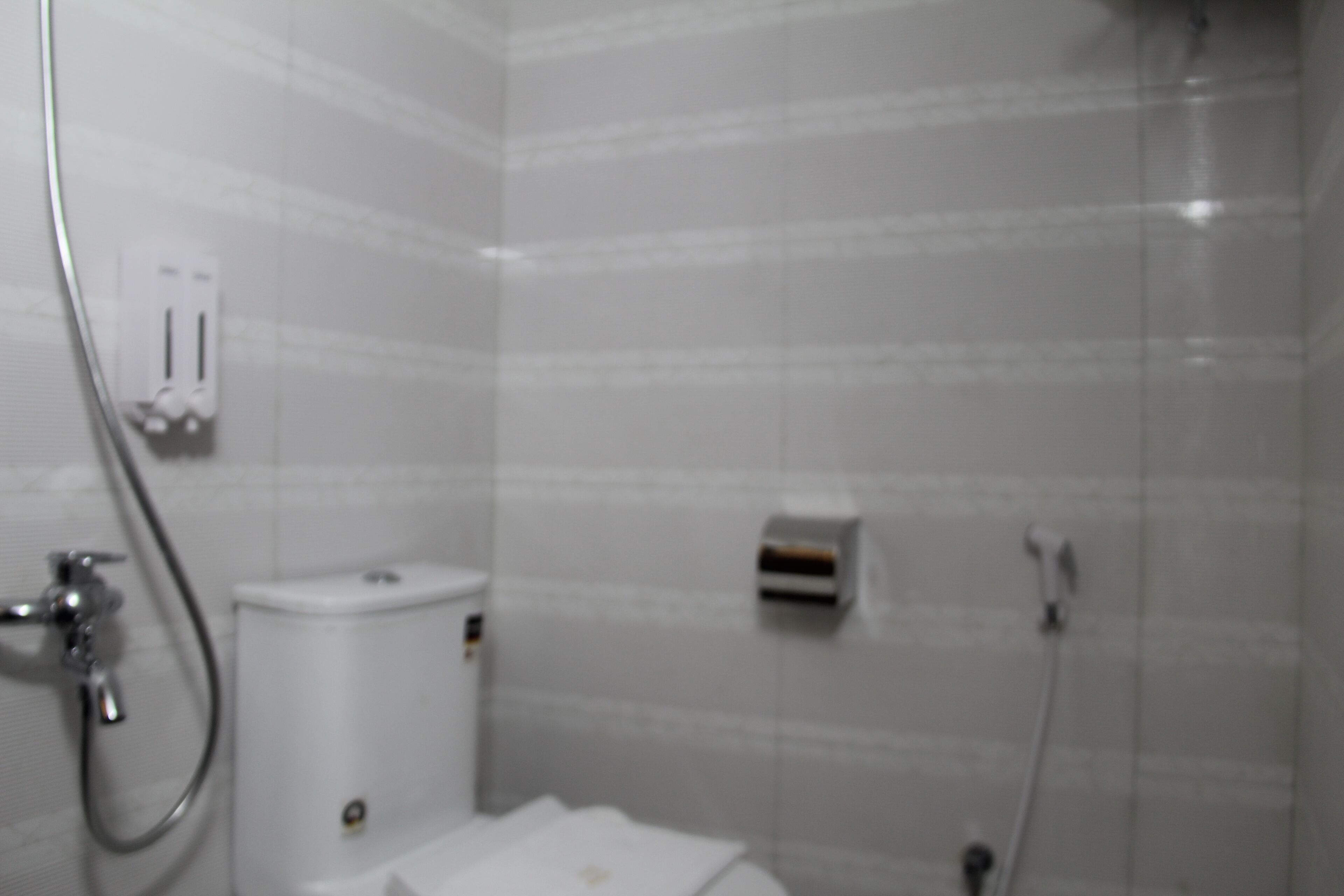 Un baño con inodoro, bidé y ducha.