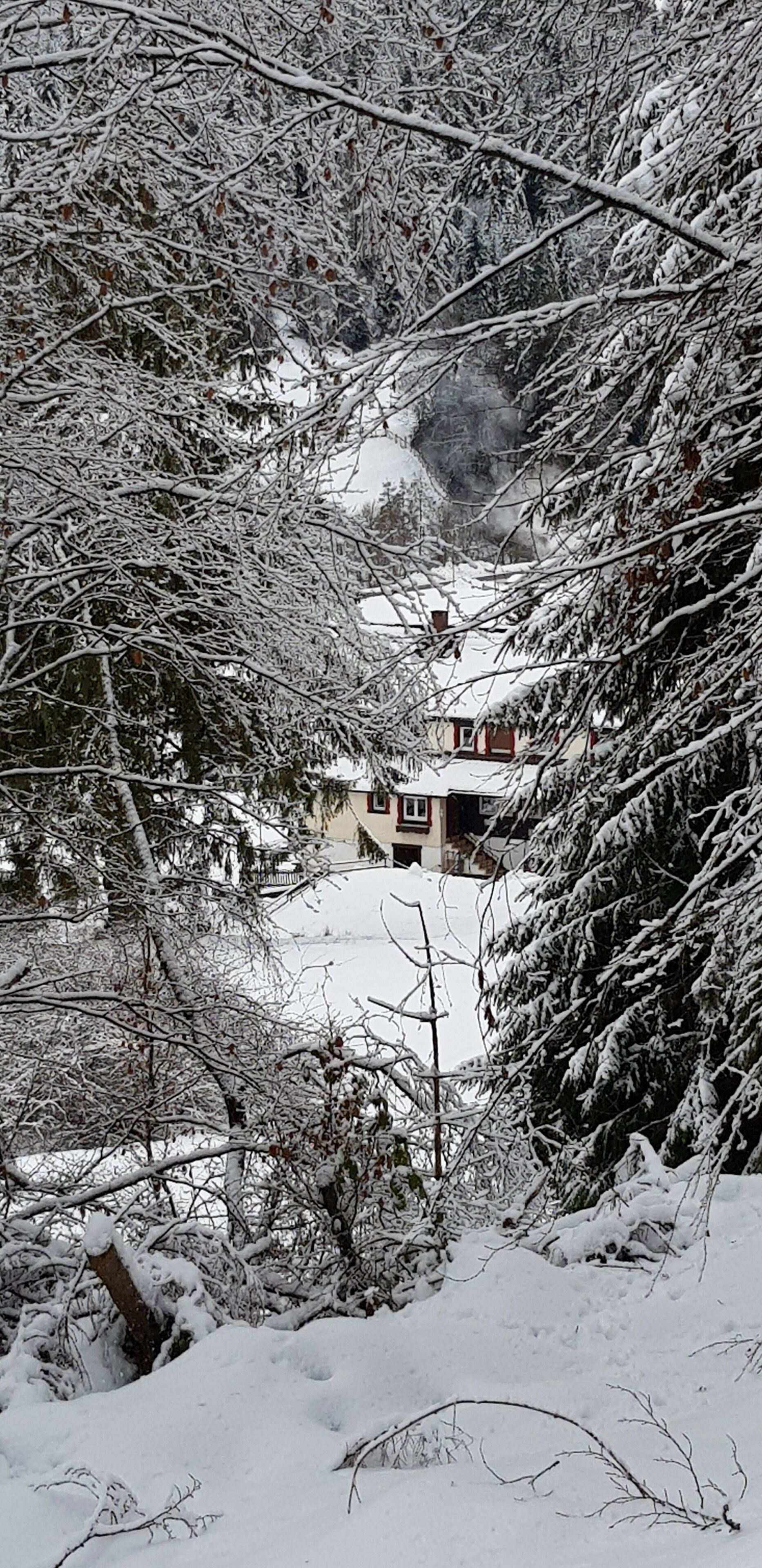 Eine verschneite Landschaft mit einem Haus im Hintergrund.