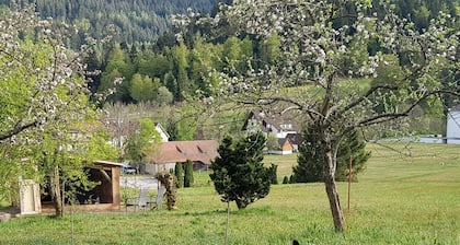 Pure Black Forest feeling in a single apartment