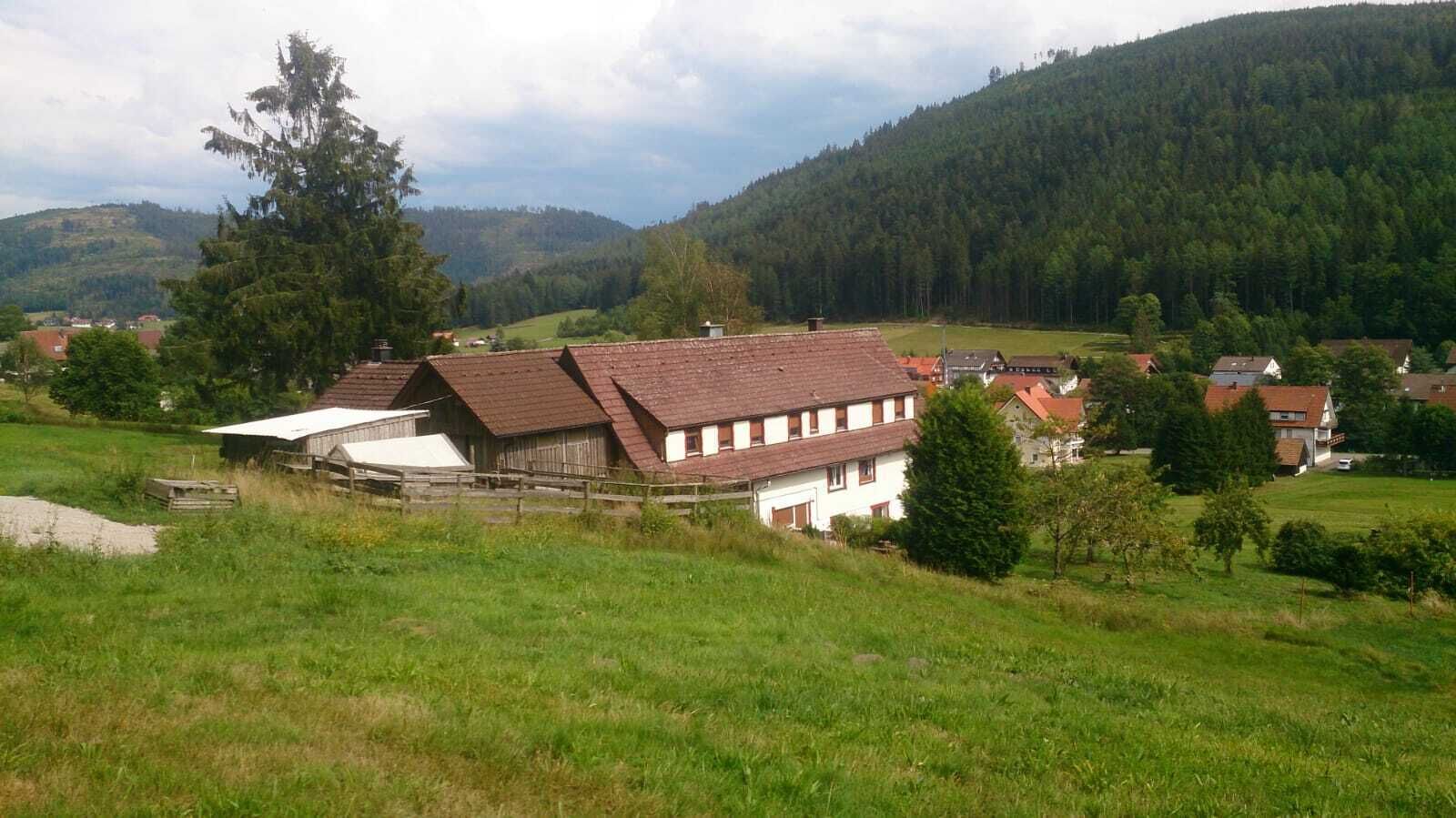 Eksteriør