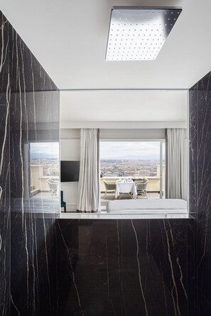 Regadera, regadera tipo lluvia, amenidades de baño de diseñador