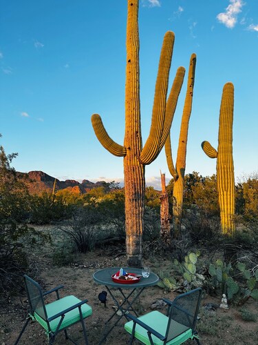 Bohemian desert sanctuary with stunning views!