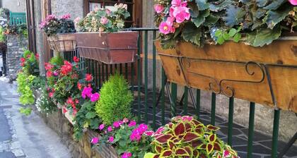 Large House for 12 people on Belledonne mountain, between Grenoble and Chambéry