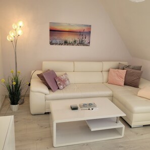 Fernseher, DVD-Player, Bücher, Videothek