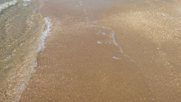 A beach with clear skies and gentle waves. - Apartment sea breeze (Aventoft)