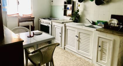 Jamila House
