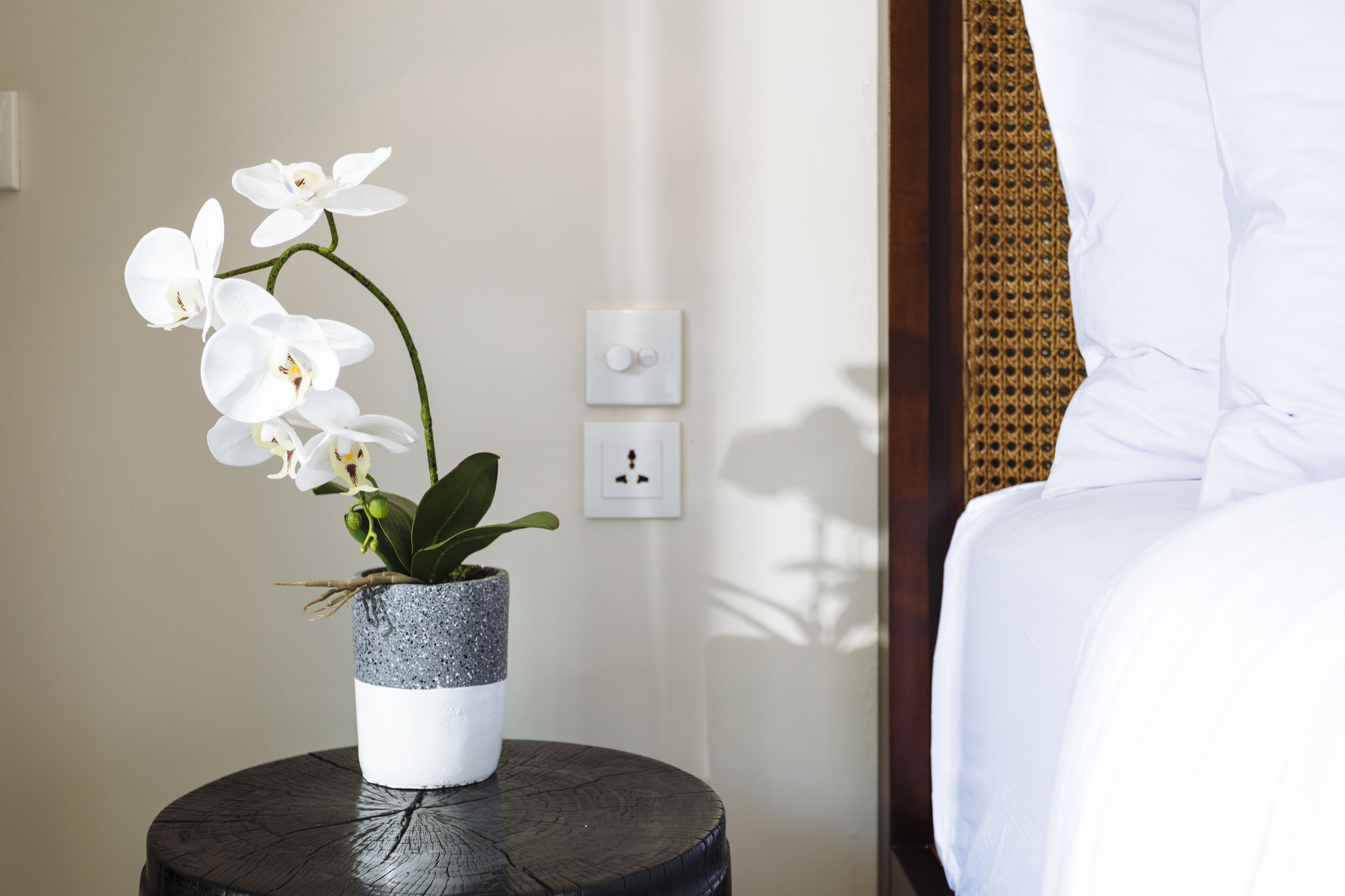 Uma orquídea branca em vaso texturizado sobre uma mesa de madeira redonda em quarto de hotel.