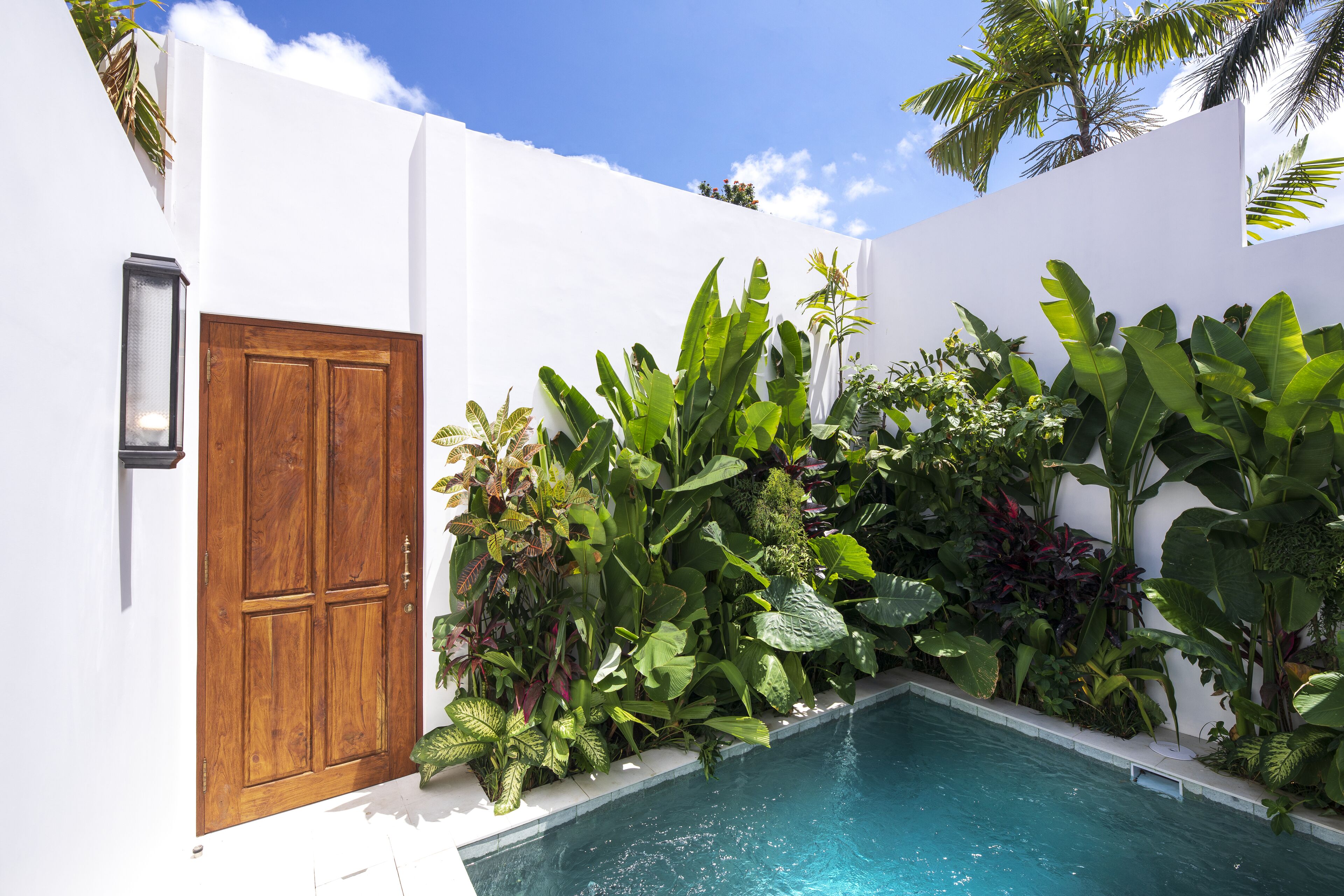 A pool surrounded by lush tropical plants and a wooden door.
