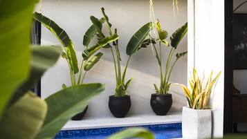 Luxury Villa, 2 Bedrooms | View from room