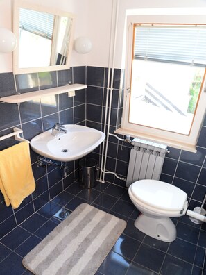 Apartment, 2 Schlafzimmer, Terrasse | Badezimmer | Dusche, kostenlose Toilettenartikel, Haartrockner, Handtücher