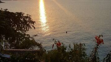 Studio, vue sur la mer | Vue sur la plage ou l’océan