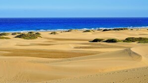 A desert landscape with sand dunes and sparse vegetation.