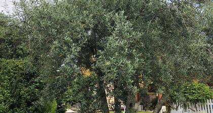 Margasol - Ländliches Haus (Wohnen für Touristen)