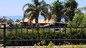 A fenced area with palm trees and a building with a tiled roof.